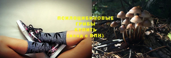 хмурый Горнозаводск