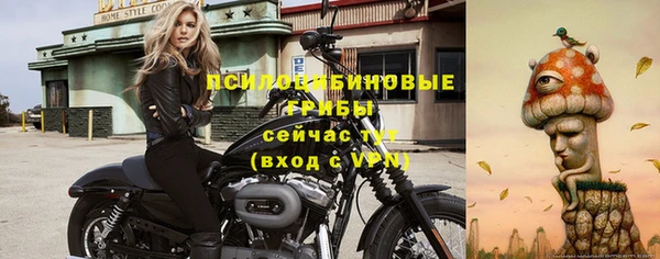 apvp Горняк
