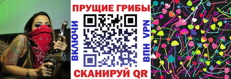 Псилоцибиновые грибы Psilocybine cubensis  Донецк 